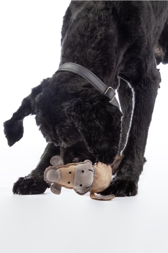 Jouet pour chien -Buddy Horse- HKM