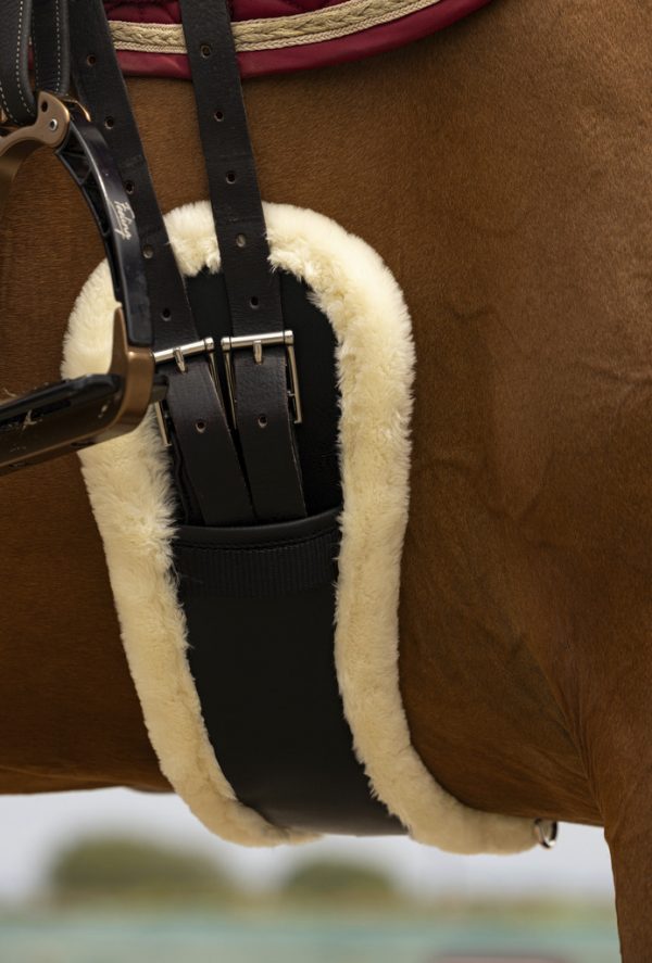 203_227_080_ambi2 Sangle courte Norton XTR Monton