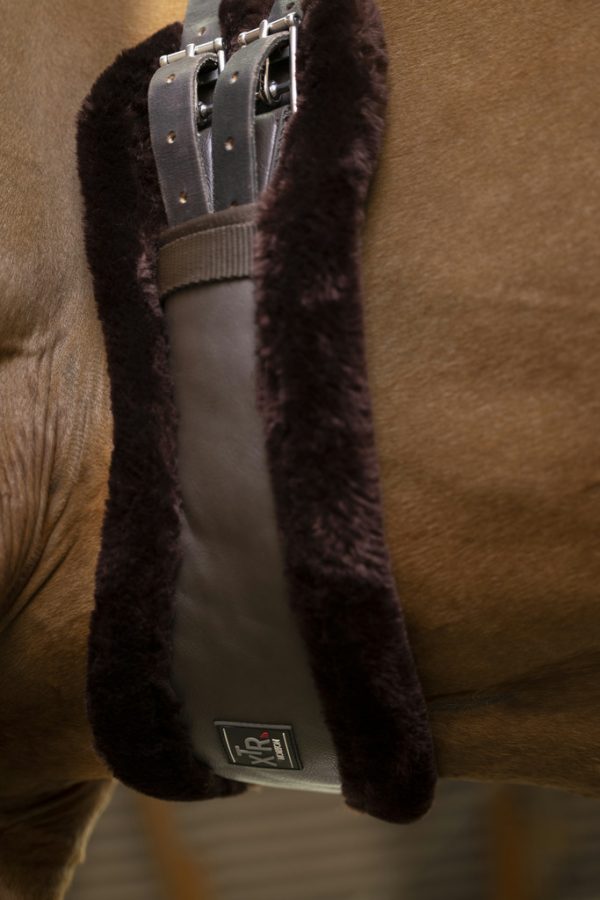 203_227_470_ambi1 Sangle courte Norton XTR Monton