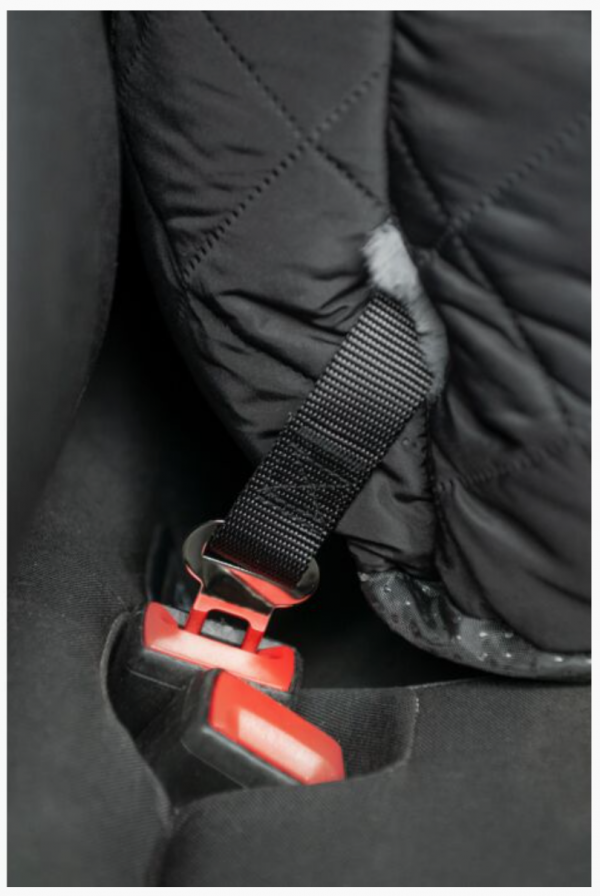 Coussin pour chien multifonctionnel -Buddy- HKM