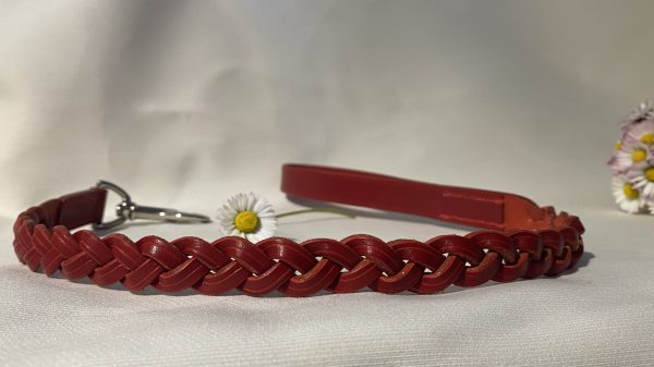 Laisse Tressée pour chien Artisanale Erithacus Rouge