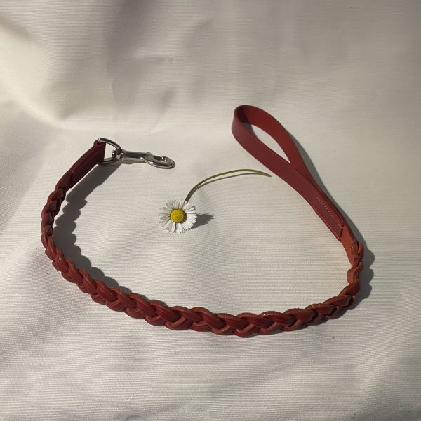 Laisse Tressée pour chien Artisanale Erithacus Rouge
