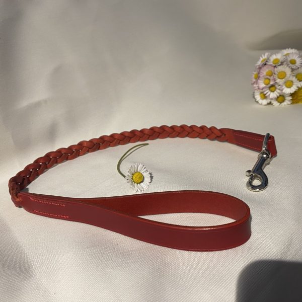 Laisse Tressée pour chien Artisanale Erithacus Rouge