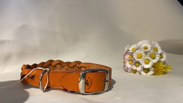 Collier Tressé pour chien Artisanal Erithacus Orange