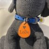 Médaille pour chien en cuir personnalisable
