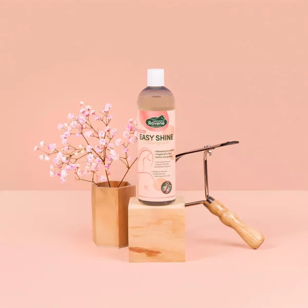 Shampooing Easy Shine 500mL Ravene