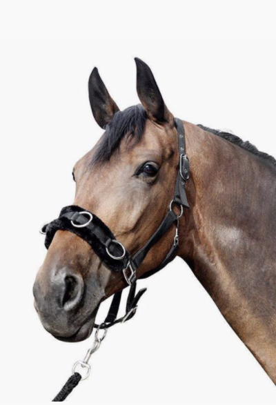 Caveçon Nylon Rembourré HKM Ref: 1167