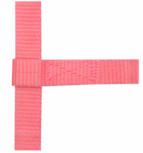 Licol Mini Foal Norton Ref: 510033