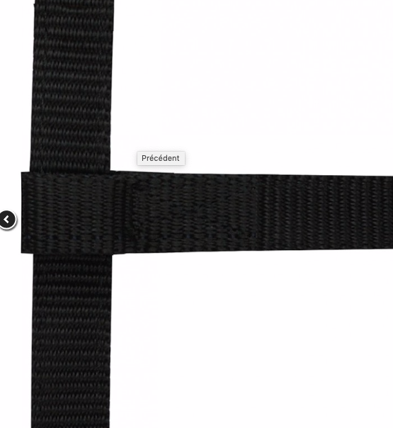 Licol Mini Foal Norton Ref: 510033