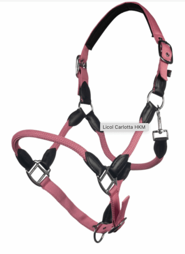 Licol Calotta en corde ref: 14521