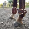 Protégez les membres de votre cheval avec nos protèges boulets en cuir, fabriqués à la main dans notre atelier. Réalisés en cuir de vache français (collet) avec un tannage végétal, ces protections en couleur havane allient confort et élégance. En optant pour ce produit, vous soutenez l’artisanat français et une consommation responsable.