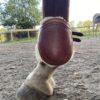 Protégez les membres de votre cheval avec nos protèges boulets en cuir, fabriqués à la main dans notre atelier. Réalisés en cuir de vache français (collet) avec un tannage végétal, ces protections en couleur havane allient confort et élégance. En optant pour ce produit, vous soutenez l’artisanat français et une consommation responsable.