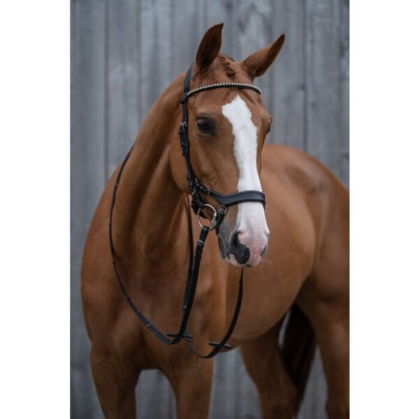 Bridon avec rênes-Pro Anatomic- Noir Cob - 12399 HKM