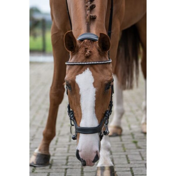 Bridon avec rênes-Pro Anatomic- Noir Cob - 12399 HKM