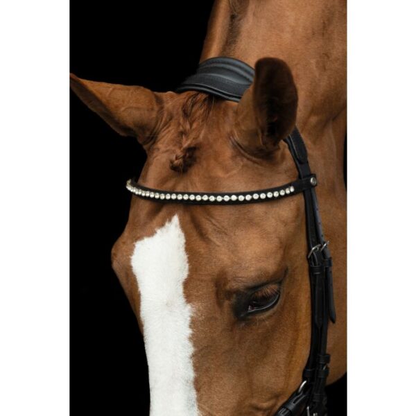 Bridon avec rênes-Pro Anatomic- Noir Cob - 12399 HKM