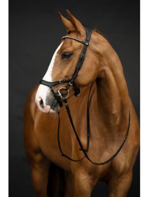 Bridon avec rênes-Pro Anatomic- Noir Cob - 12399 HKM