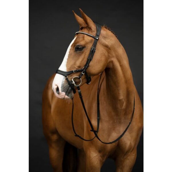 Bridon avec rênes-Pro Anatomic- Noir Cob - 12399 HKM
