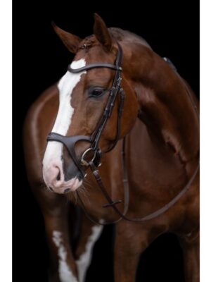 Bridon -Anatomic Sports- Brun- Full-11213