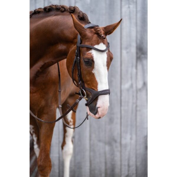 Bridon -Anatomic Sports- Brun- Full-11213