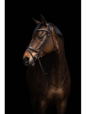 Bridon Brun Arezzo Lauria Garrelli avec rênes -Cheval-15391