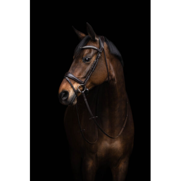 Bridon Brun Arezzo Lauria Garrelli avec rênes -Cheval-15391