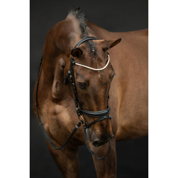 Bridon Kopenhagen HKM Noir avec rênes - Cheval -15056