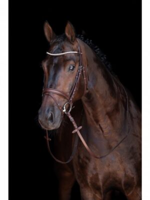Bridon Mia Brun Cheval avec rênes - HKM