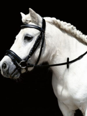 Bridon Mini Shetty HKM avec rênes - Noir