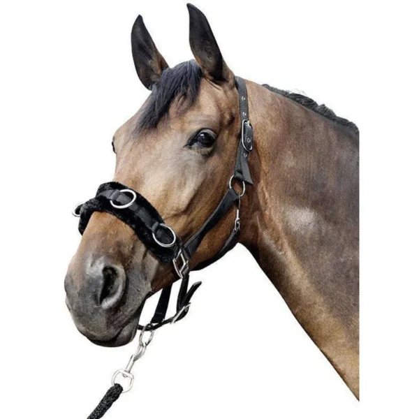 HKM Caveçon Peluche Noir- 11679