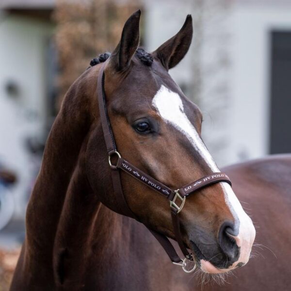 Licol HVP Nena- 1601093600