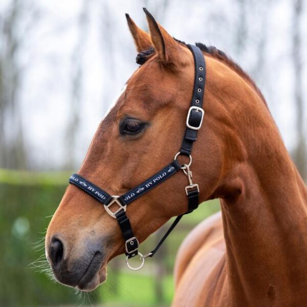 Licol HVP Nena- 1601093600