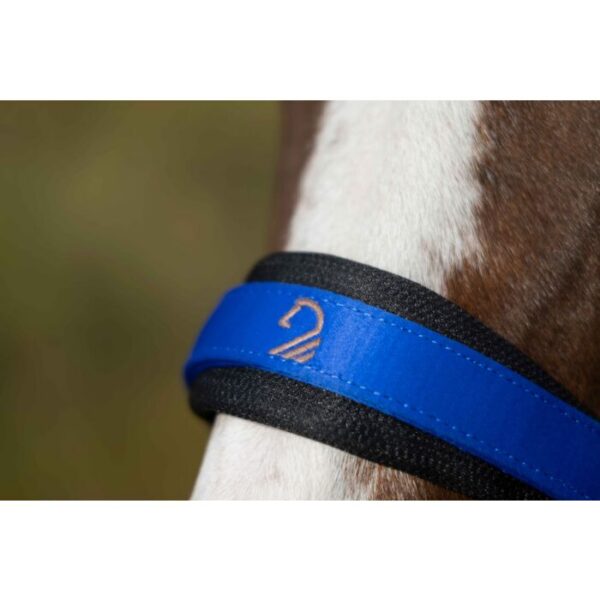 Licol -Amalfi- HKM - 14741