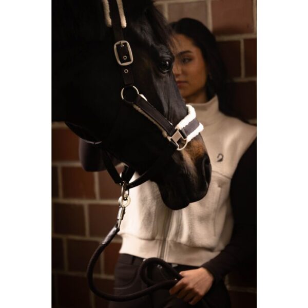 Licol -Arezzo- HKM- 15388