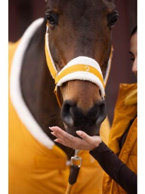 Licol -Arezzo- HKM- 15388