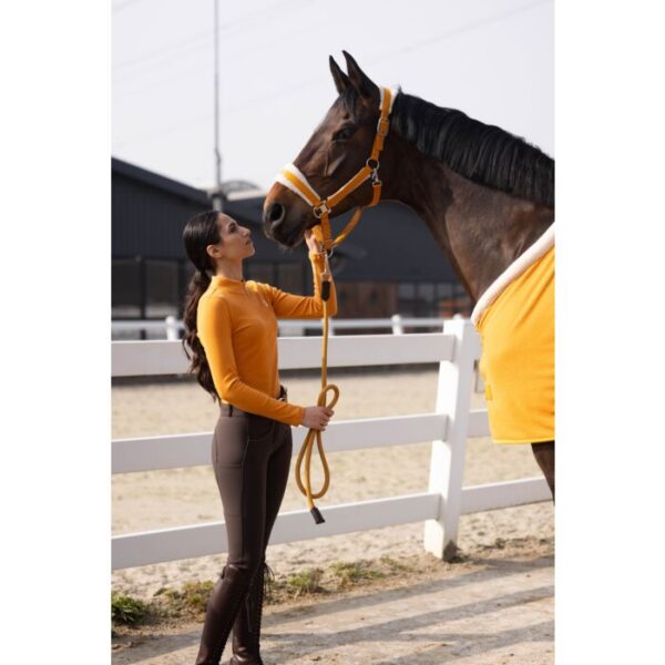 Licol -Arezzo- HKM- 15388