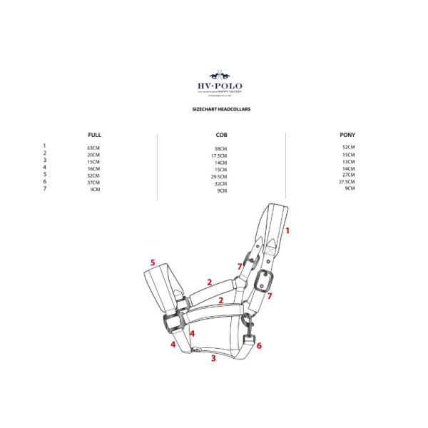 Licol HV Polo Sasha