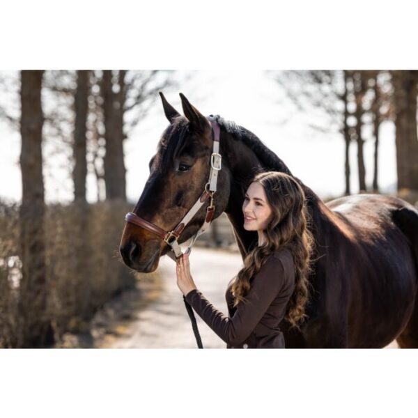 Licol -Luna- cuir et nylon (3) Licol -Luna- cuir et nylon Marron - 12742