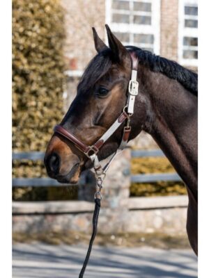 Licol -Luna- cuir et nylon Marron - 12742