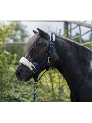 Licol Mia pour shettys HKM - Marine