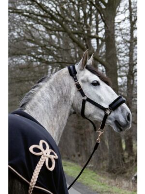 Licol -Rosegold Glamour- Style - HKM - 12959