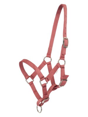 Licol poulain HV Polo- Blush - 1601093