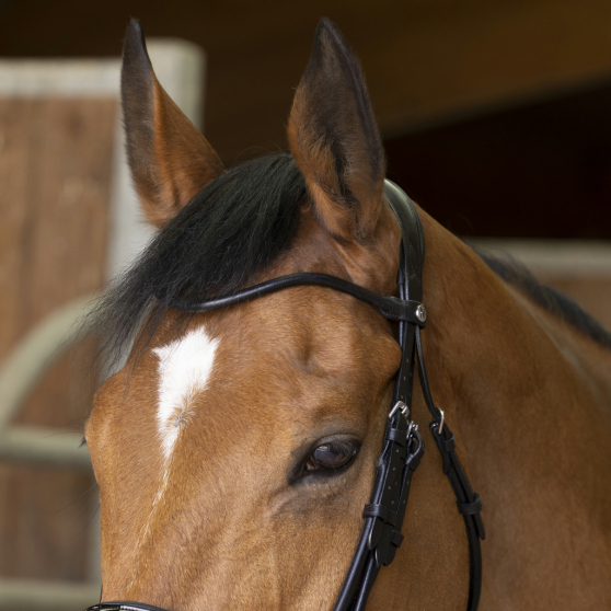 Bride Norton Pro cuir rond avec rênes - COB-303031202