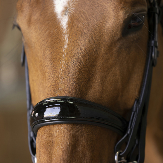 Bride Norton Pro cuir rond avec rênes - COB-303031202