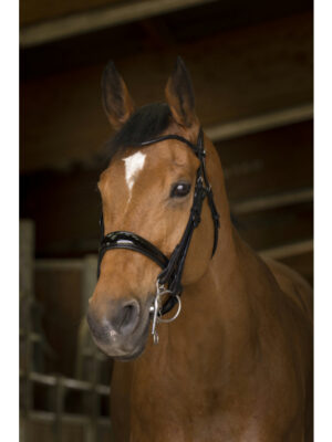 Bride Norton Pro cuir rond avec rênes - COB-303031202