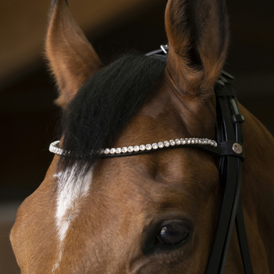 Bride Norton Pro Shiny Noir avec rênes - Cob - 303033202