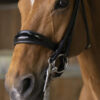Bride Norton Pro Shiny Noir avec rênes - Cob - 303033202