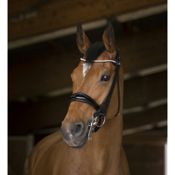 Bride Norton Pro Shiny Noir avec rênes - Cob - 303033202