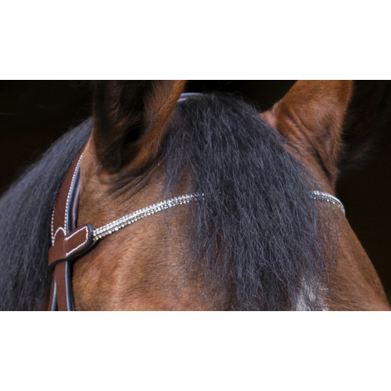 Bridon Éric Thomas Pro Strass Brun - Full - 307700318