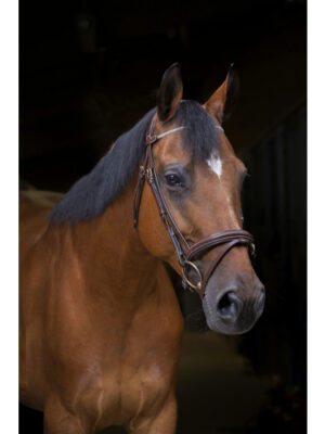 Bridon Éric Thomas Pro Strass Brun - Full - 307700318