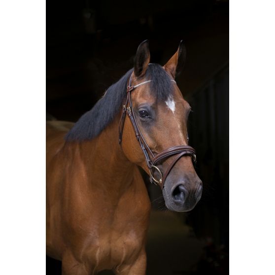 Bridon Éric Thomas Pro Strass Brun - Full - 307700318